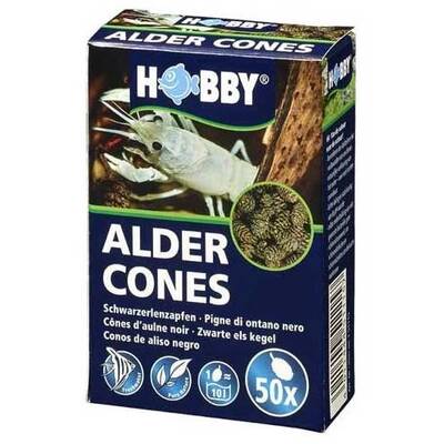 Hobby Alder Cones 50pcs