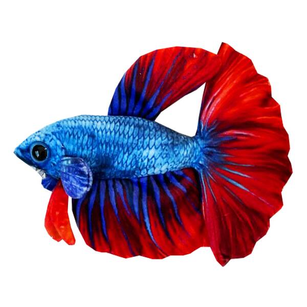 Betta fish plush-17x7x14cm