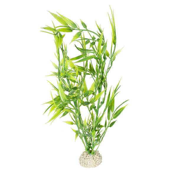 Aqua Della Plant Bamboo Green M 27CM