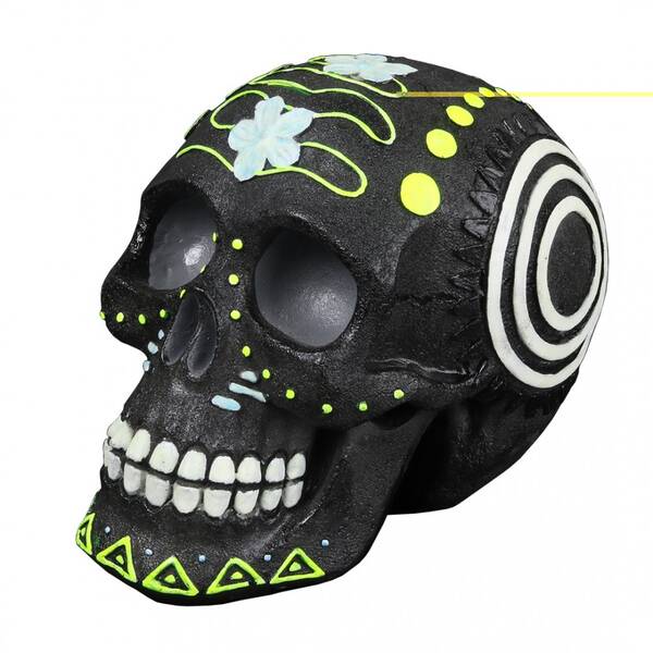 Aqua Della Los Muertos Skull 4