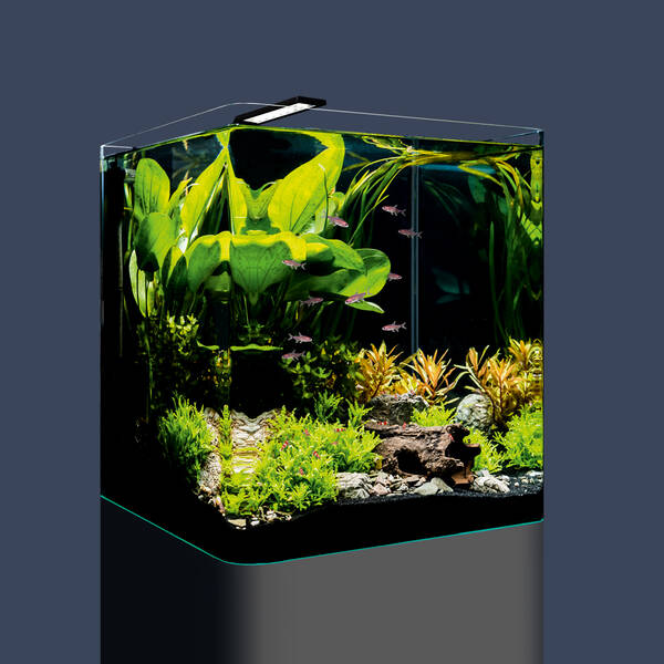 Dennerle Nano Cube Basic 60L