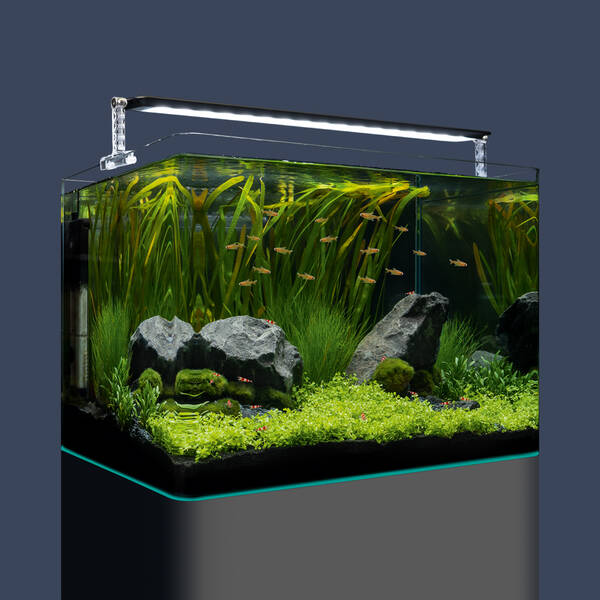 Dennerle Nano Tank Plant Pro 70lt 50x39x36cm