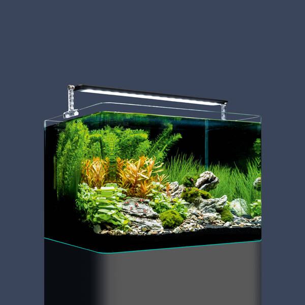 Dennerle Nano Tank Plant Pro 35lt